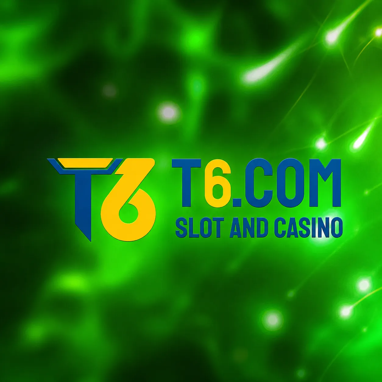 t6